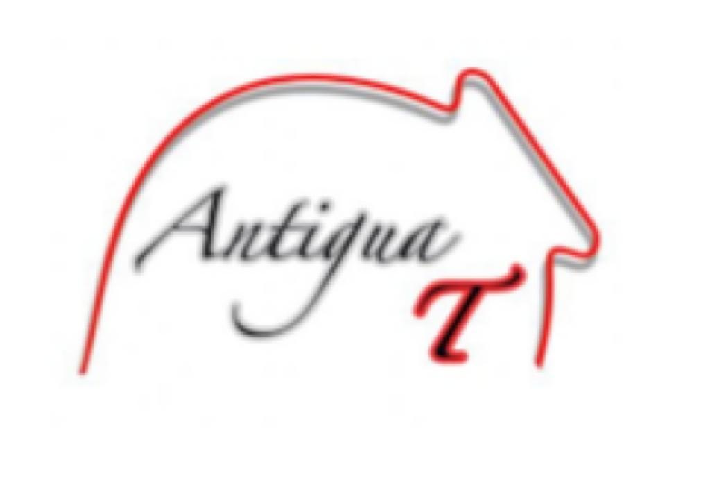 antigua-t